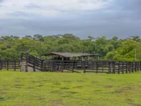 propriedade rural curral