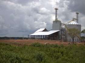 silo propriedade rural clima leandro andrade