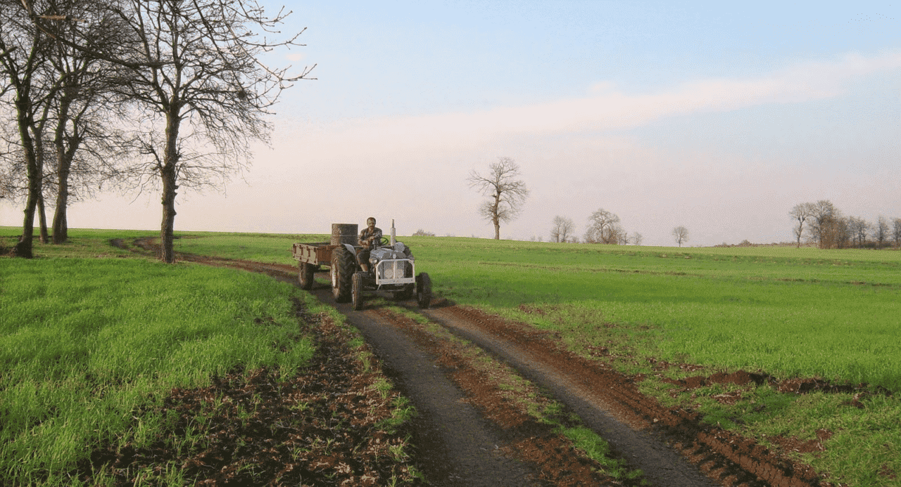 tractor in field 1377109