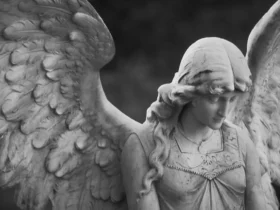 Anjo da Guarda e as mensagens do dia