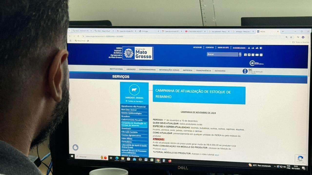 Campanha de atualização de estoque de rebanhos em Mato Grosso termina nesta terça-feira (10)