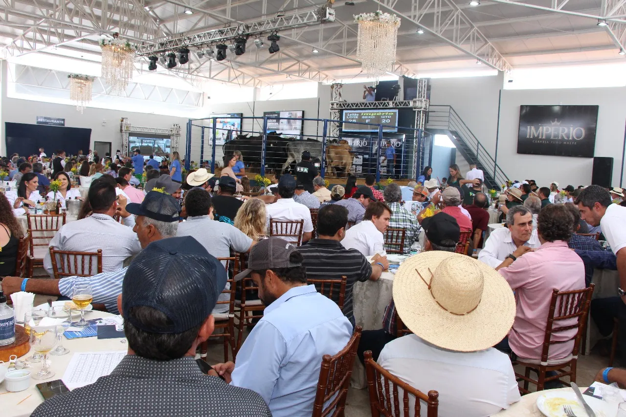 Megaleilão terá edição com recorde de animais em dezembro