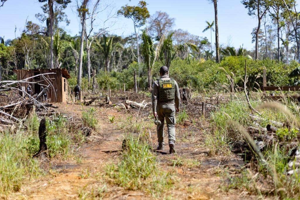 Sema deflagra 298 operações em Mato Grosso e aplica R$ 1,6 bilhão contra crimes ambientais em 2024