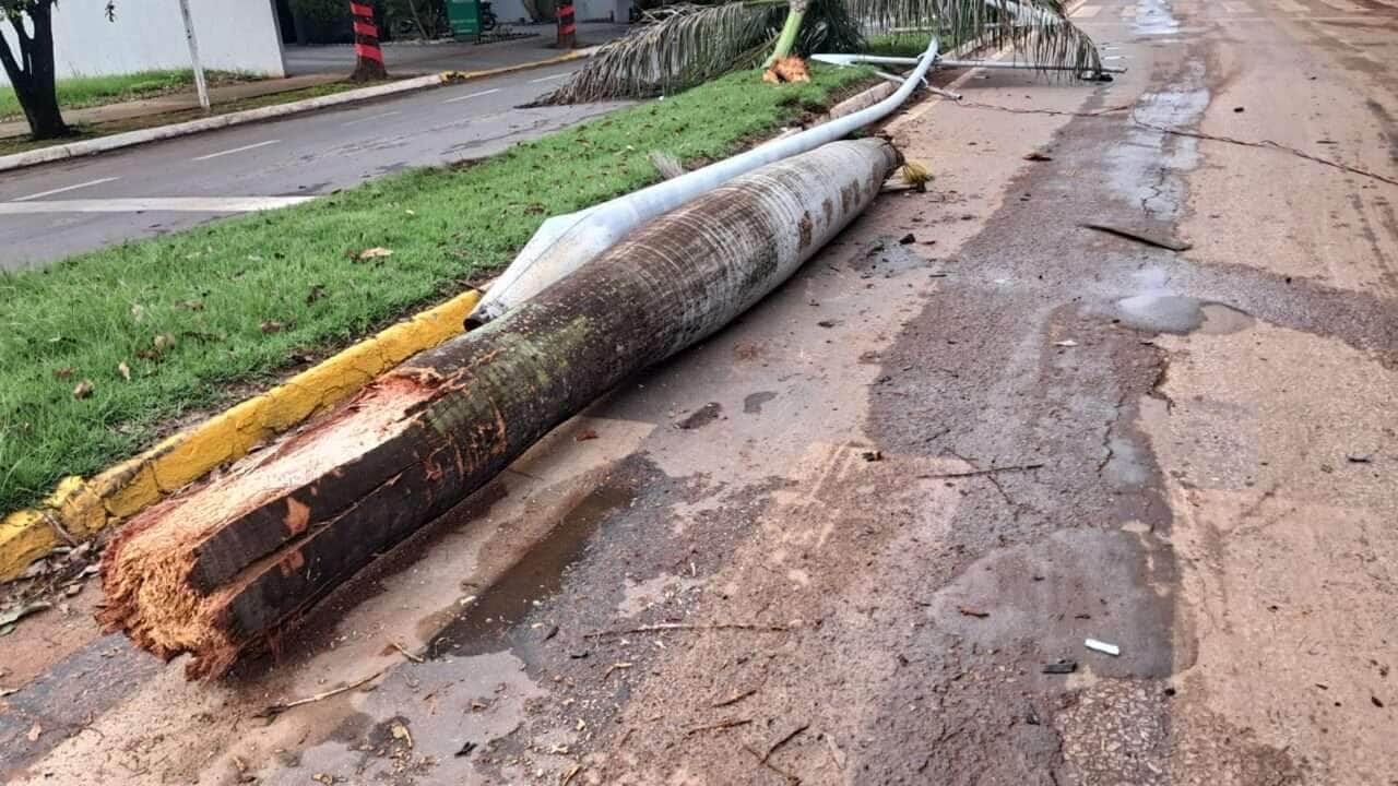 Motorista embriagado causa estragos após invadir canteiro em avenida de Lucas do Rio Verde