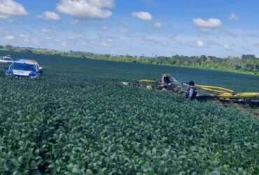 Piloto morre em acidente com avião agrícola em Nova Monte Verde (MT)