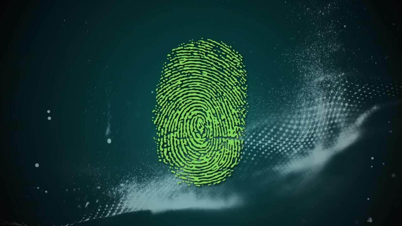 Brasil barra Worldcoin: Troca dados biométricos por criptomoedas é vetada