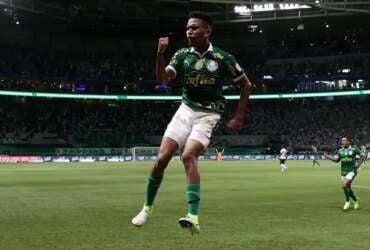 O jogador Estêvão, da SE Palmeiras, comemora seu gol contra a equipe do Grêmio FBPA, durante partida válida pela trigésima terceira rodada, do Campeonato Brasileiro, Série A, na arena Allianz Parque.