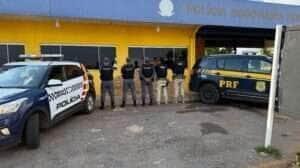 Wellyngton Souza | PMMT