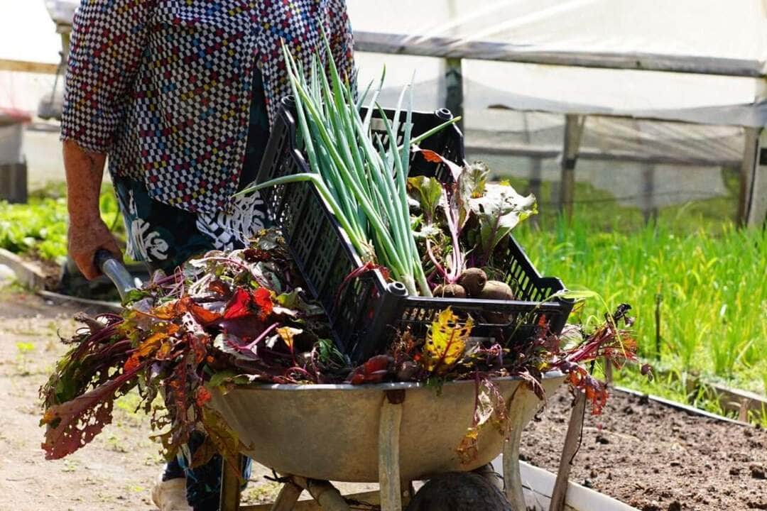 Assessoria/Semana de Agroecologia
