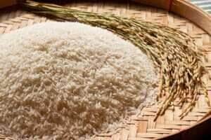 Novos leilões de contrato de opção de venda de arroz são marcados para próximo dia 20 -