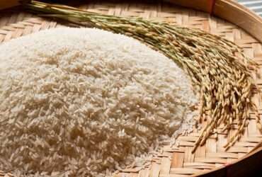 Novos leilões de contrato de opção de venda de arroz são marcados para próximo dia 20 -