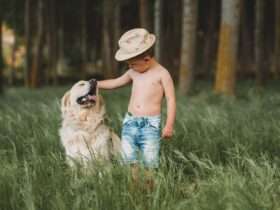 Brincadeiras que aproximam crianças e pets durante as férias