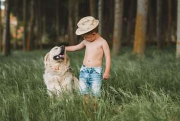 Brincadeiras que aproximam crianças e pets durante as férias