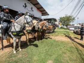 Cavalaria da PM concilia atividade ostensiva e atendimentos sociais para populacao em Mato Grosso