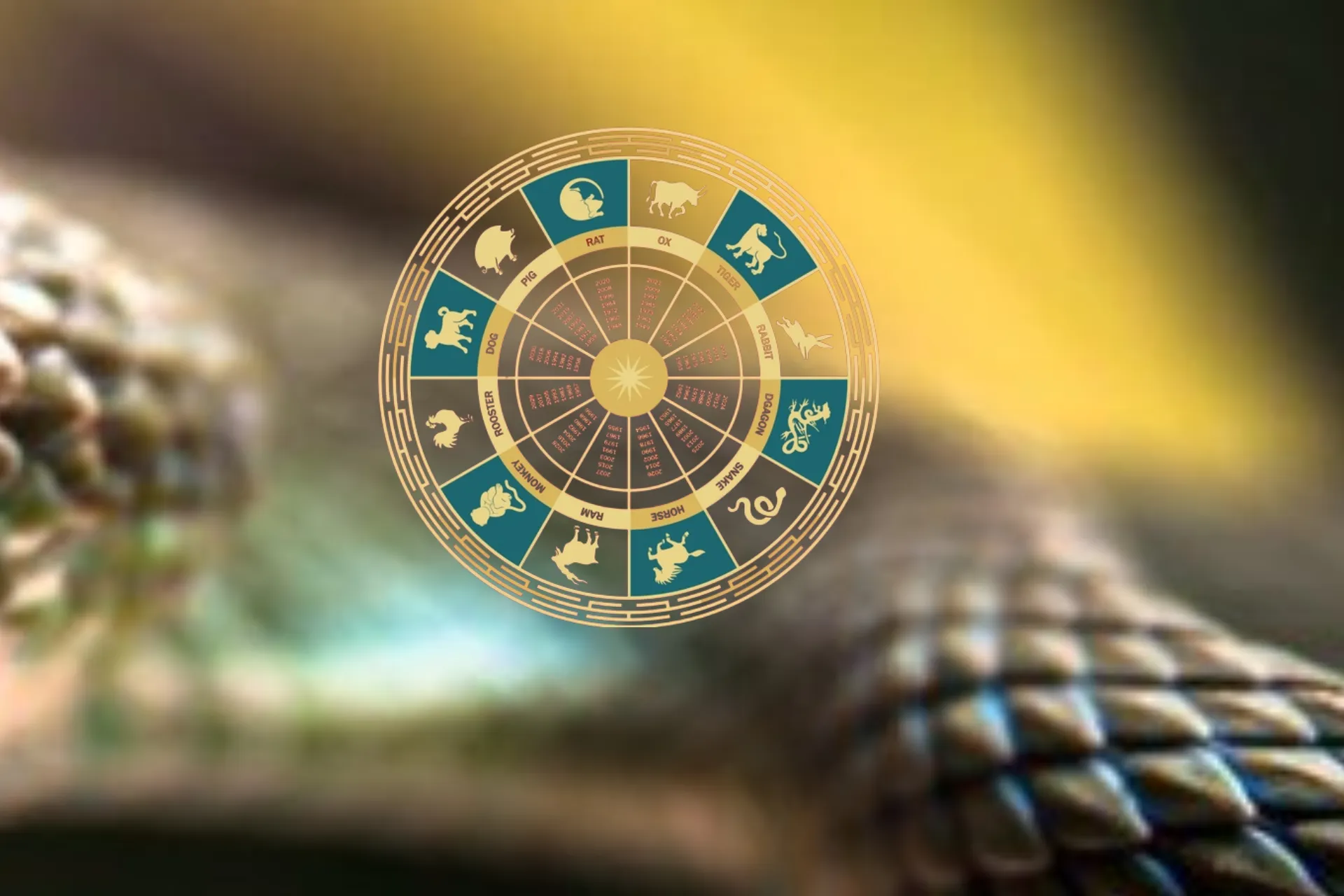 Horóscopo Chinês - Ano da Cobra Verde