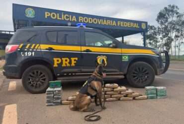 Ministério Público recorre contra soltura de caminhoneiro flagrado com 46 kg de drogas em Mato Grosso