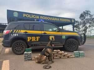 PRF apreende quase 47 kg de drogas e rebites em caminhão na BR-364 em Alto Garças