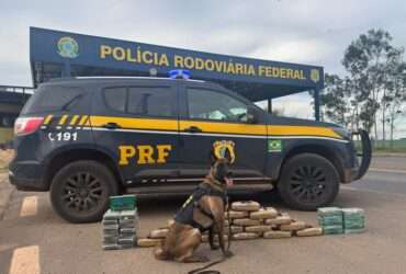 PRF apreende quase 47 kg de drogas e rebites em caminhão na BR-364 em Alto Garças