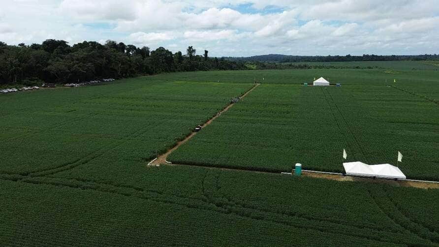 _Pesquisas da Fundação MT direcionadas a produtores do nortão (2)