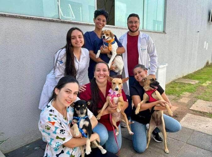 Projeto do Hospital Regional de Sinop leva cães para ajudar no tratamento de de crianças internadas