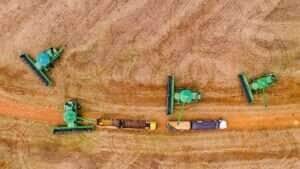 Puxada pela soja, produção de grãos em Mato Grosso deve aumentar 4,4% na safra 2024/2025, estima Conab