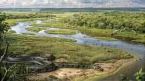 Sucuri Gigante - Foto por CenárioMT