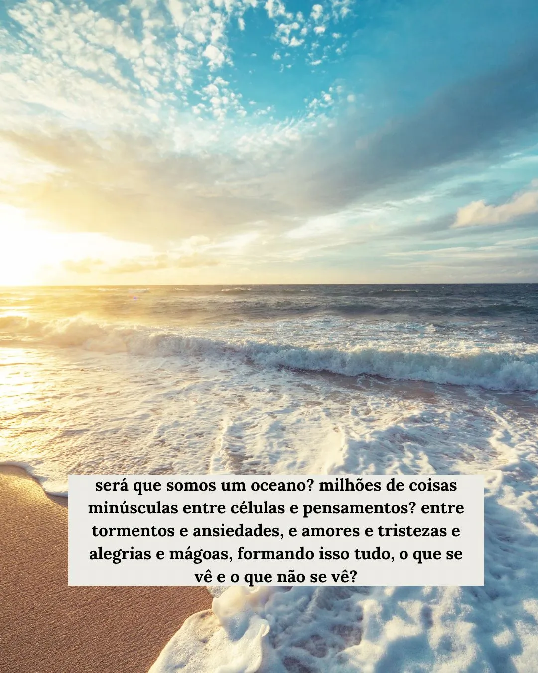 WhatsApp Image 2024-11-26 at 12.45.25