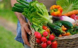 Agricultores familiares de MT comercializam 22 toneladas de alimentos com apoio da Conab