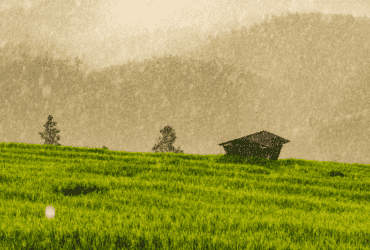 chuva propriedade rural