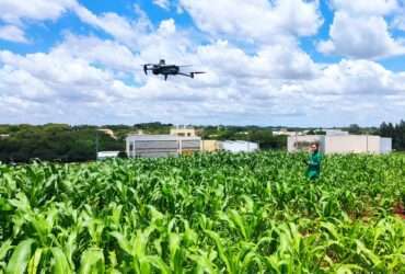 drone plantacao milho Foto Paula Drummond de Castro