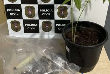 Polícia Civil-MT