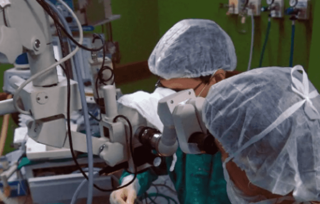 Captações de córneas realizadas pela Politec de Mato Grosso em 2024 ajudam 300 pessoas a restaurar a visão