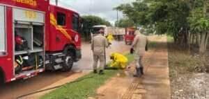 Corpo de Bombeiros de Mato Grosso socorre mulher e animais após ataque de abelhas