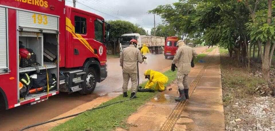 Corpo de Bombeiros de Mato Grosso socorre mulher e animais após ataque de abelhas