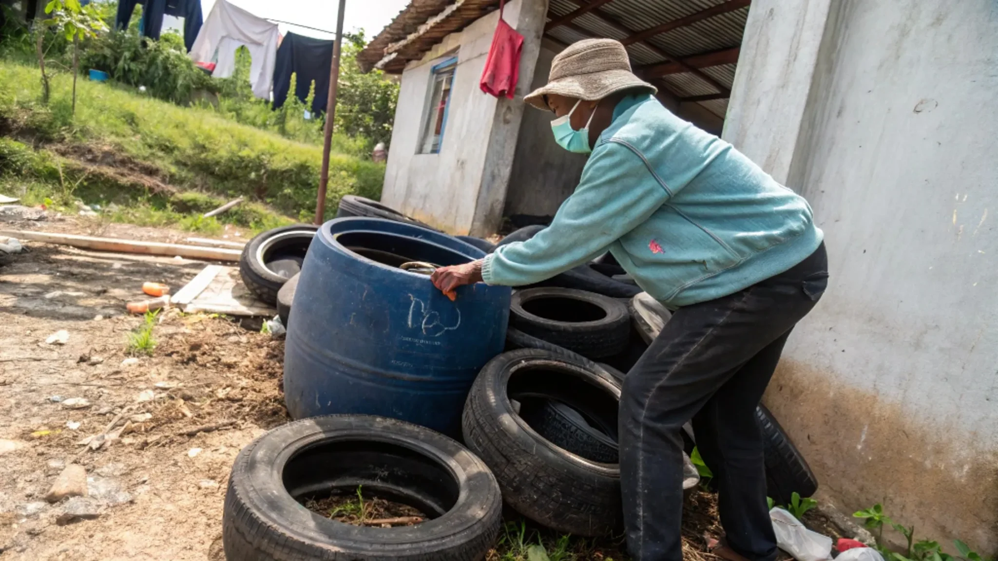 Dengue e Chikungunya