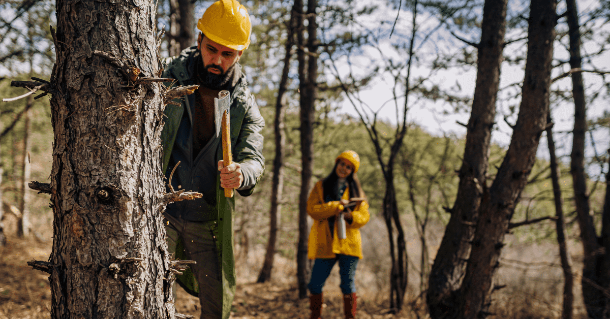 Piracema da madeira em vigor em Mato Grosso até 1º de abril