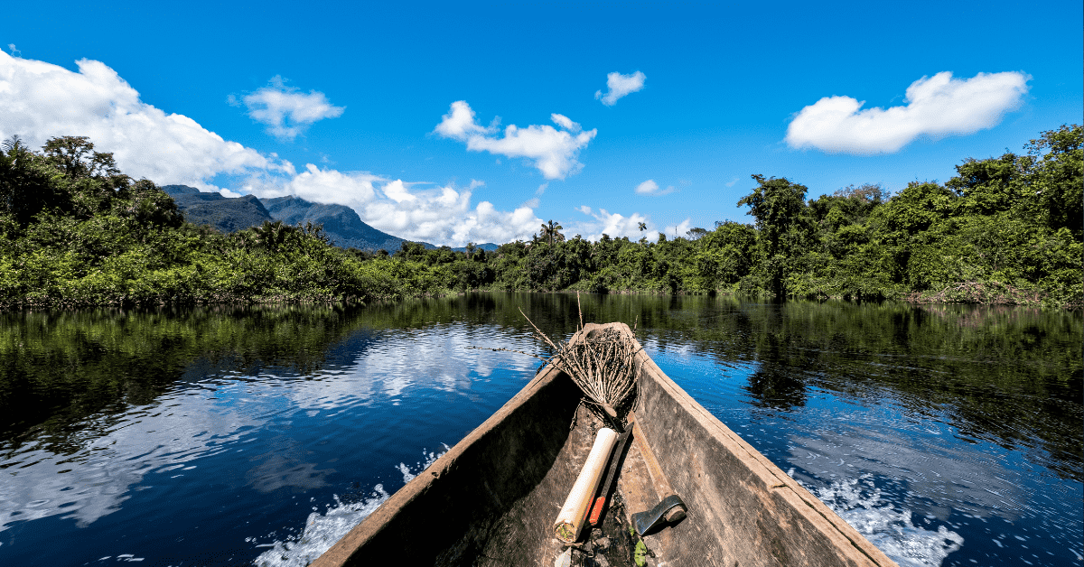 Governador veta projeto que ameaçava a Amazônia em Mato Grosso