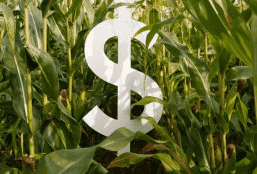 Mato Grosso impulsiona crescimento do Centro-Oeste e do Brasil em 2025, aponta estudo