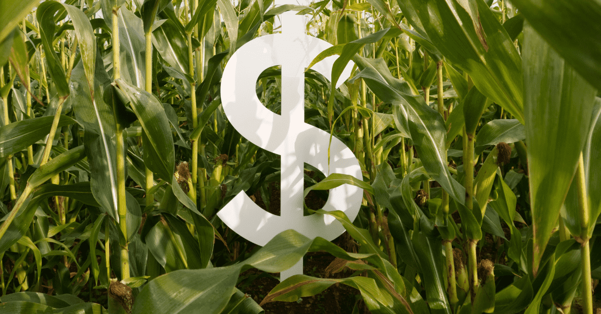 Mato Grosso impulsiona crescimento do Centro-Oeste e do Brasil em 2025, aponta estudo