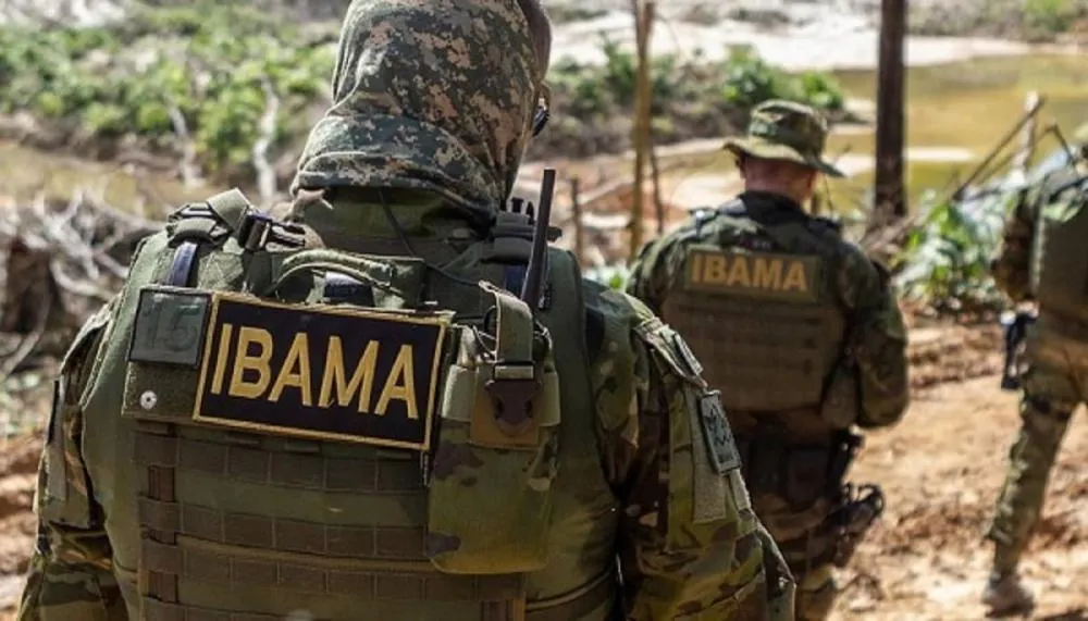 Ibama e UFMT firmam acordo para reforçar atendimento à fauna silvestre em Mato Grosso