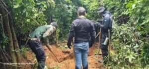 Mais cinco corpos são encontrados em área de mata em Mato Grosso