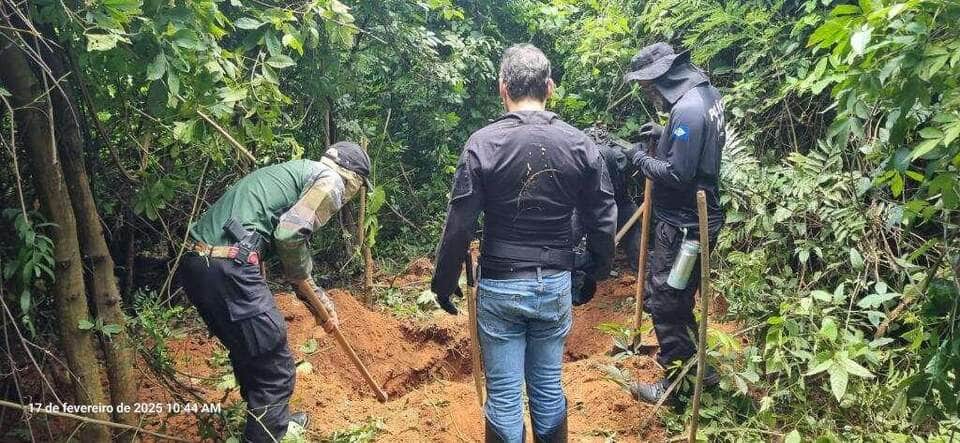 Mais cinco corpos são encontrados em área de mata em Mato Grosso