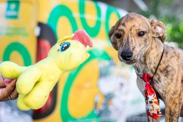 Crédito: Emanoele Daiane