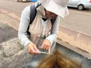 Cidade registra 249 casos confirmados de dengue e 799 de chikungunya; mais de 90% dos focos estão dentro dos quintais, alerta Secretaria
