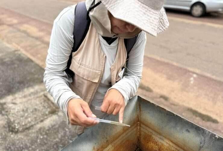 Cidade registra 249 casos confirmados de dengue e 799 de chikungunya; mais de 90% dos focos estão dentro dos quintais, alerta Secretaria