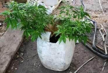 PM prende integrantes de facção criminosa especializada em roubos e furtos de cabos em Mato Grosso