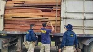 PRF combate crimes ambientais em Mato Grosso durante Operação Fronteira "Insidiae"