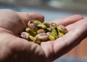 Pistaches-