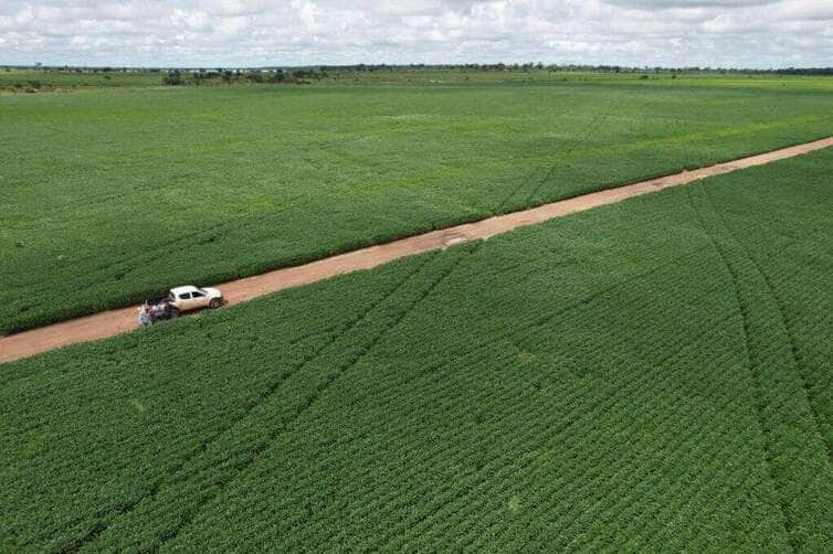 Produtores de soja de Mato Grosso têm até 15 de fevereiro para cadastrar unidades de produção no Indea