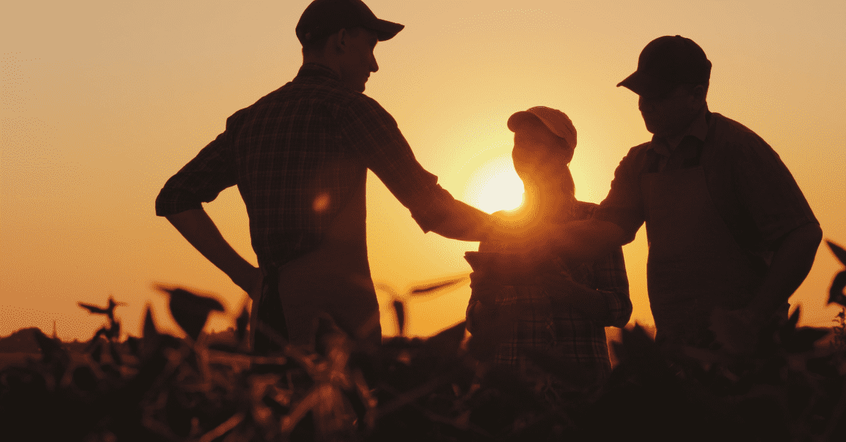 Desenrola Rural: Uma nova chance para agricultores familiares